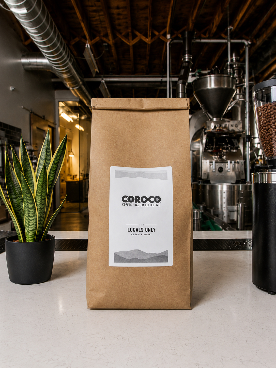 COROCO Medium Roast Blend 5 lb wholesale coffee bag